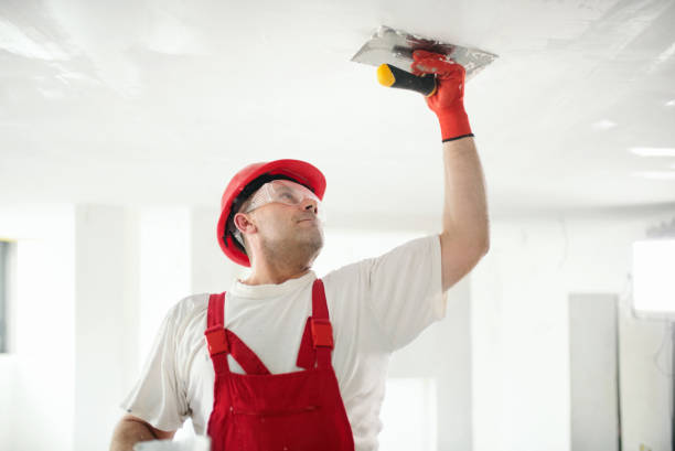 Best Mold Damage Restoration  in West Miami, FL
