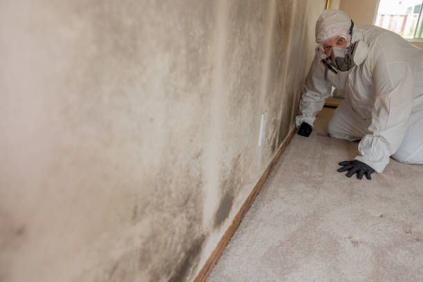 Best HVAC Mold Inspection and Cleaning  in West Miami, FL
