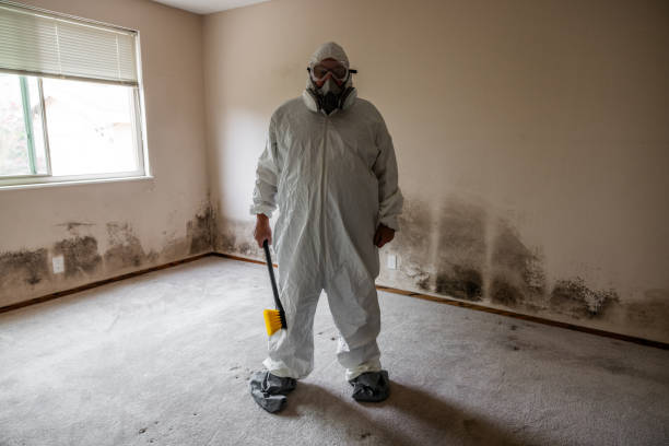 Mold Documentation for Insurance Claims in West Miami, FL