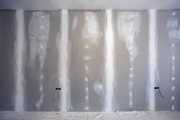 Best Basement Mold Removal  in West Miami, FL
